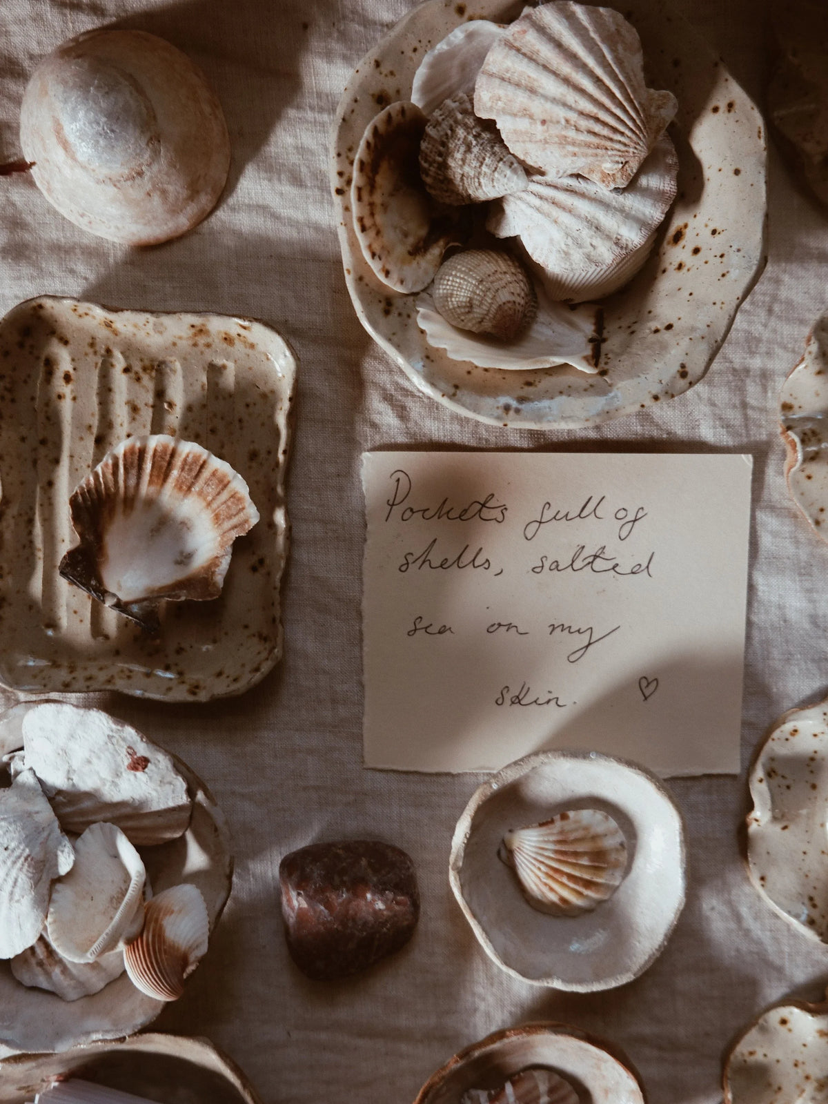 shells and ceramics on the studio table